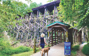 Girl walking dog on beltline trail