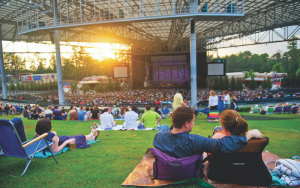 people sitting on a lawn