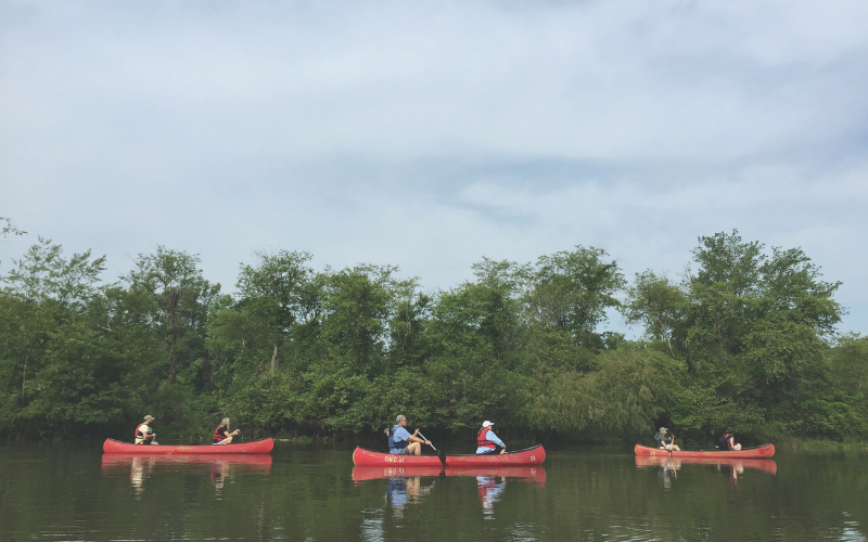 people canoeing