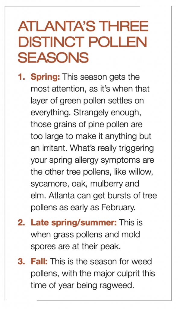 Three distinct pollen seasons