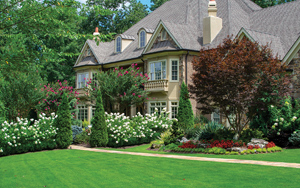 Front yard beautifully landscaped by Oasis Landscapes & Irrigation