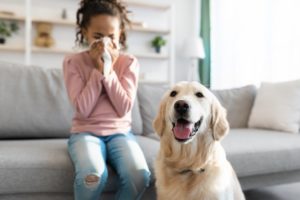 Center for Allergy & Asthma of Georgia, Girl sneezing with golden retriever