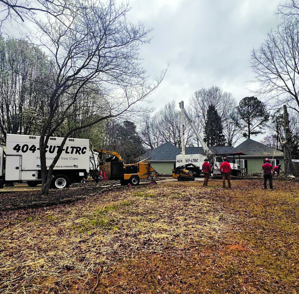 Best Tree Service, LTRC-Tree Specialists 