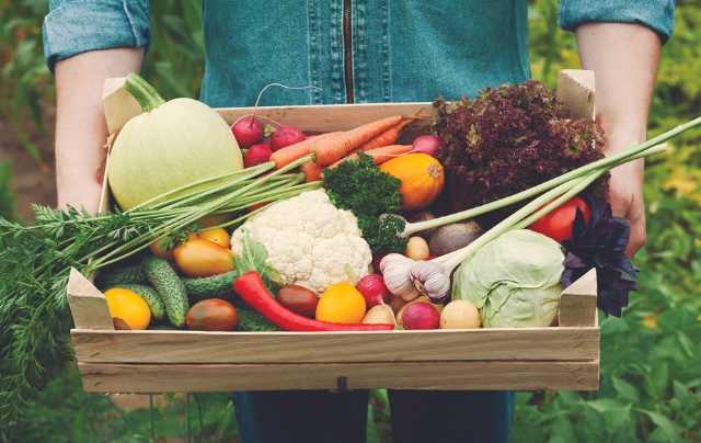 Person holding basket of produce