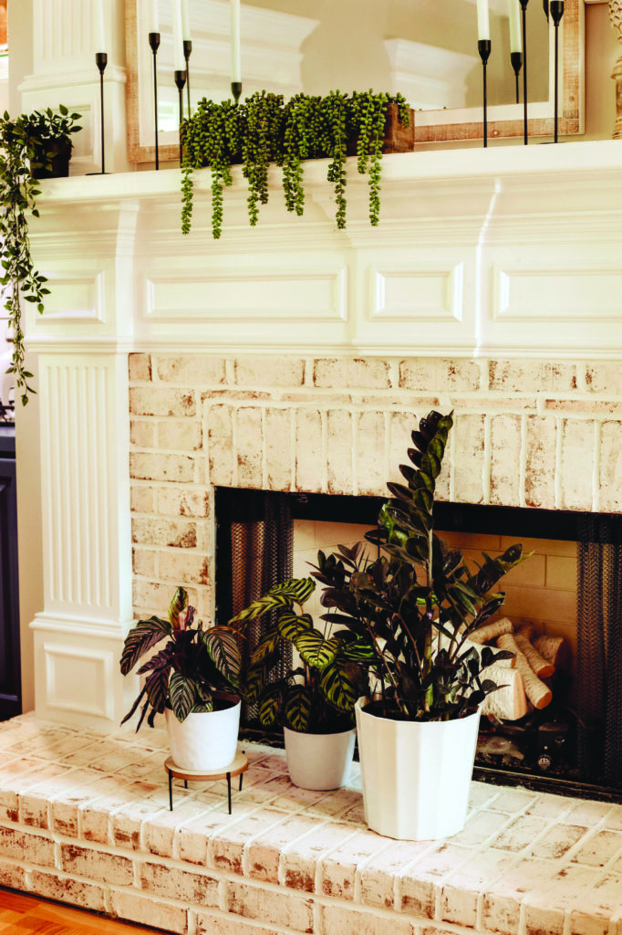 Plants in front of white fireplace 