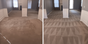 Clear Vision Carpet & Floor Care, Inc.