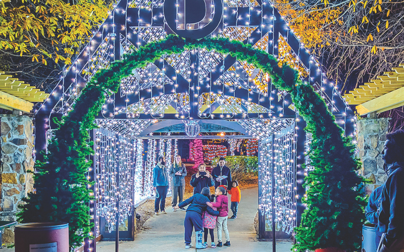 Holiday Lights display at Brook Run Park