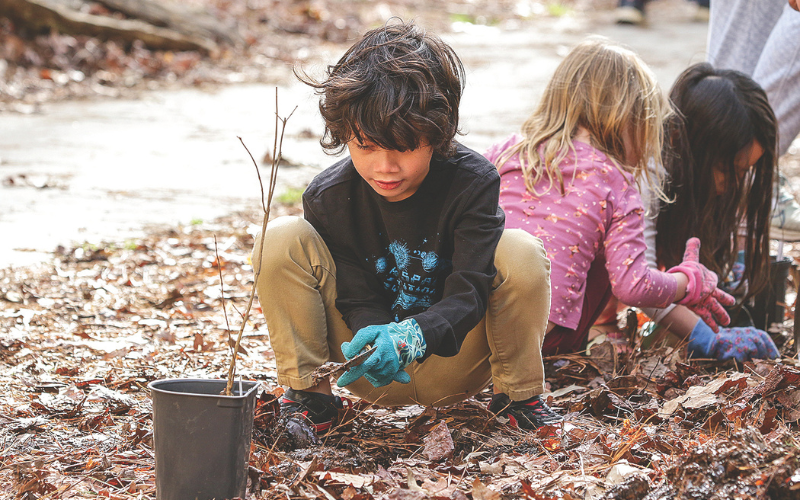 Dunwoody Nature Center