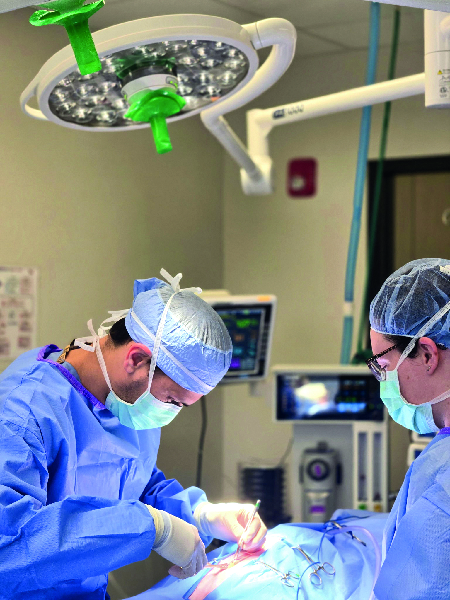 Dogwood Veterinary Specialty & Emergency