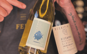 Saturday Wine Tastings