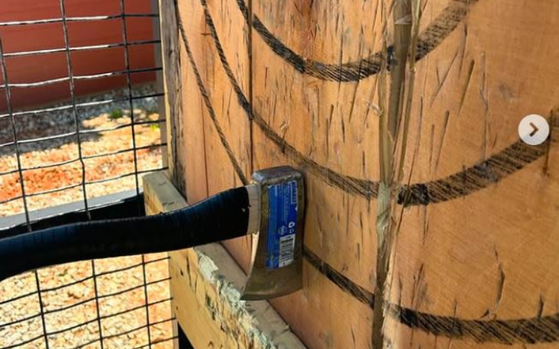 Black Bear Axe Throwing