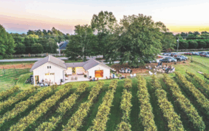 Cloudland Vineyards + Winery