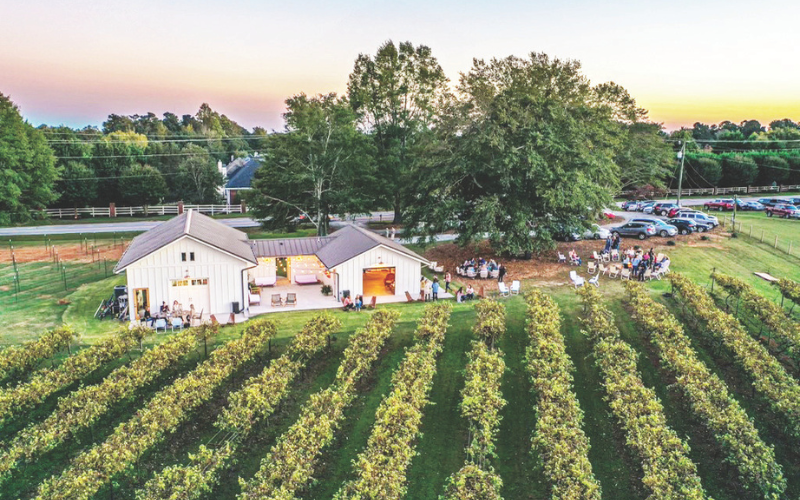 Cloudland Vineyards + Winery