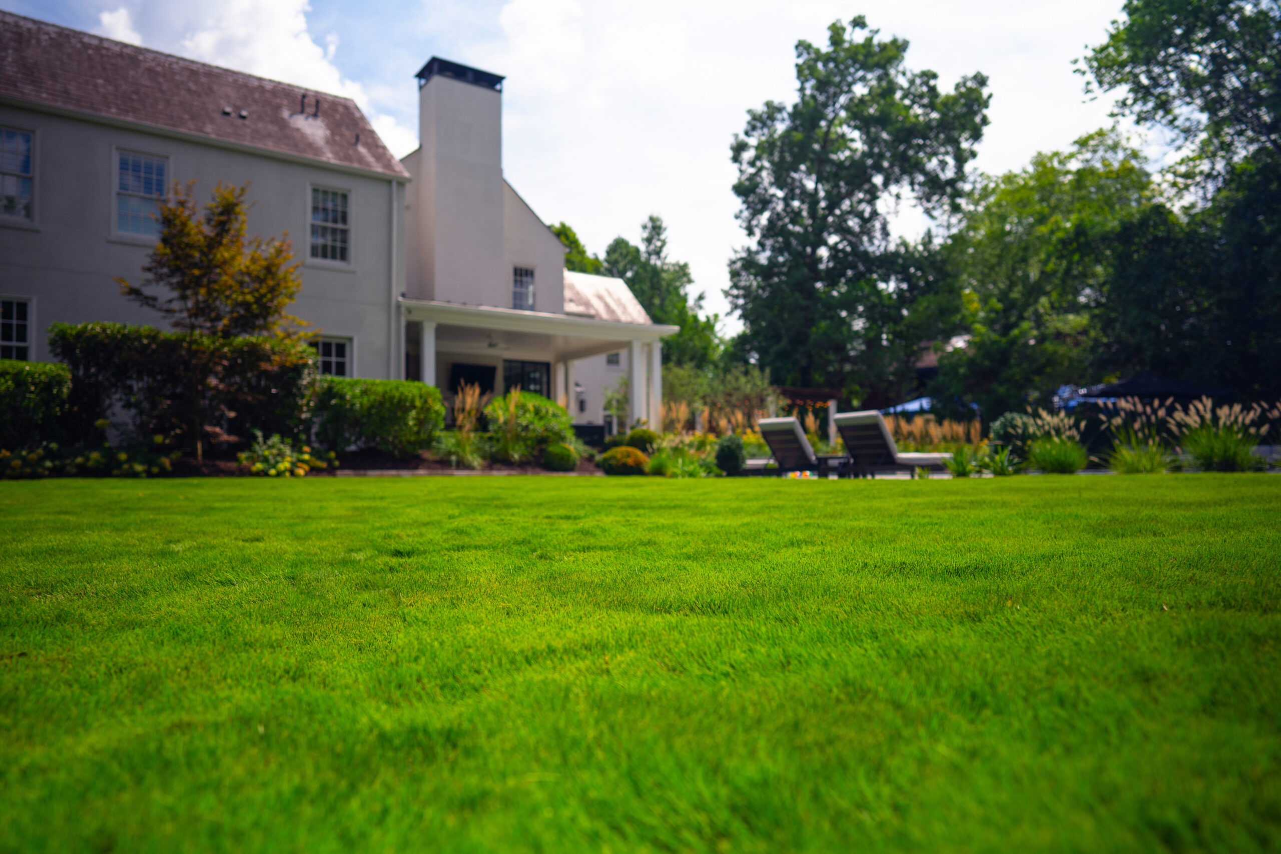 Oasis Landscapes & Irrigation