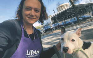 Lifeline Animal Project
