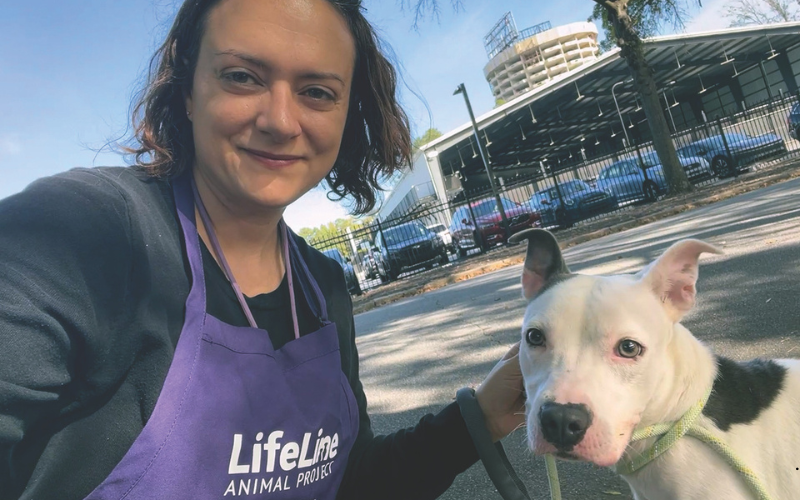 Lifeline Animal Project