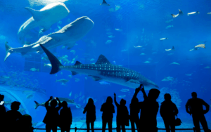 Catholic Charities Atlanta