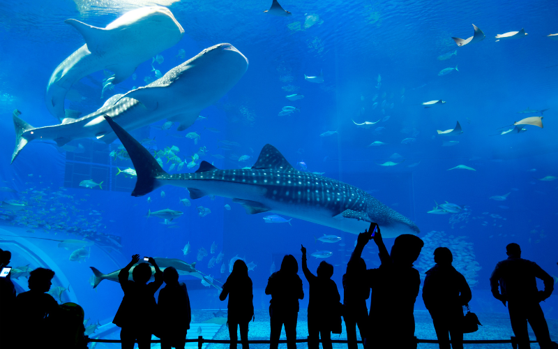 Catholic Charities Atlanta