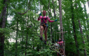 Treetop Quest