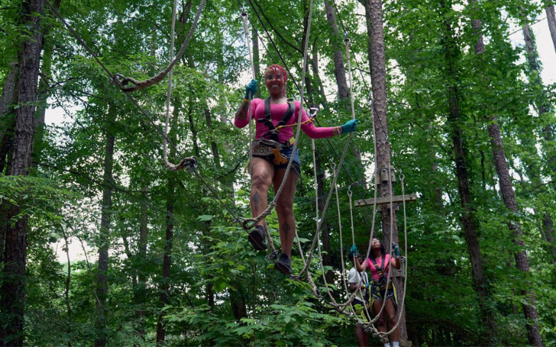 Treetop Quest